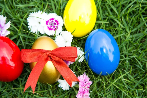 Huevos de Pascua sobre hierba verde con flor —  Fotos de Stock