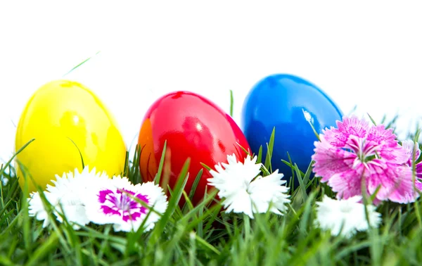Húsvéti tojás a zöld fű, fehér háttérhez képest — Stock Fotó
