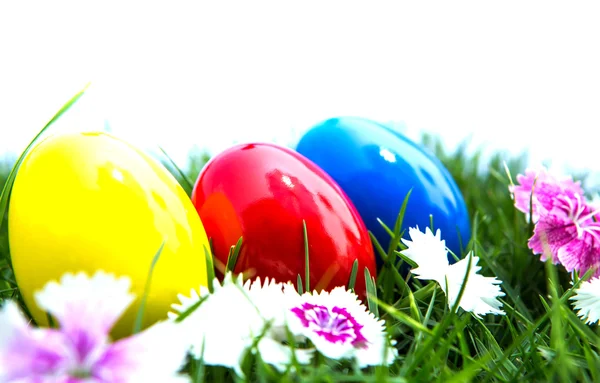 Huevos de Pascua sobre hierba verde sobre fondo blanco — Foto de Stock