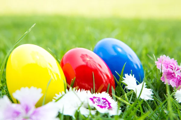 Easter eggs on green grass with flower — Stock Photo, Image