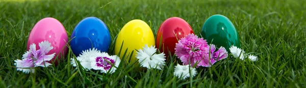 Easter eggs on green grass with flower — Stock Photo, Image