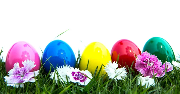 Huevos de Pascua sobre hierba verde sobre fondo blanco — Foto de Stock