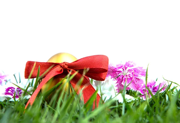 Easter eggs on green grass over white background — Stock Photo, Image