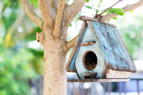 Casa de pássaro em uma árvore — Fotografia de Stock