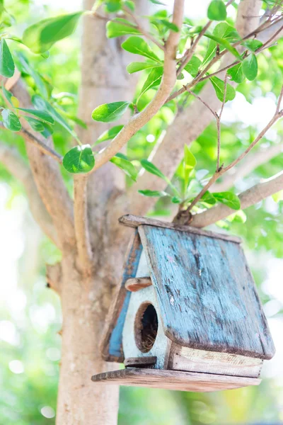 一棵树上的鸟房子 — 图库照片