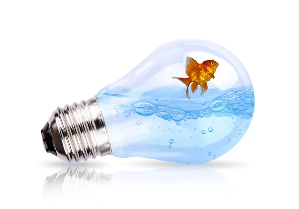 Light bulb with water and fish inside — Stock Photo, Image