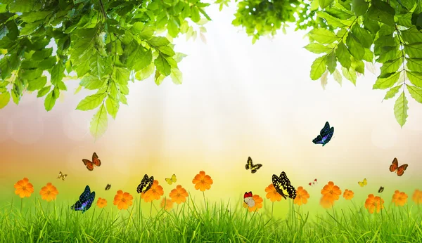 緑の葉と蝶、夏の新鮮な春の緑の草 — ストック写真
