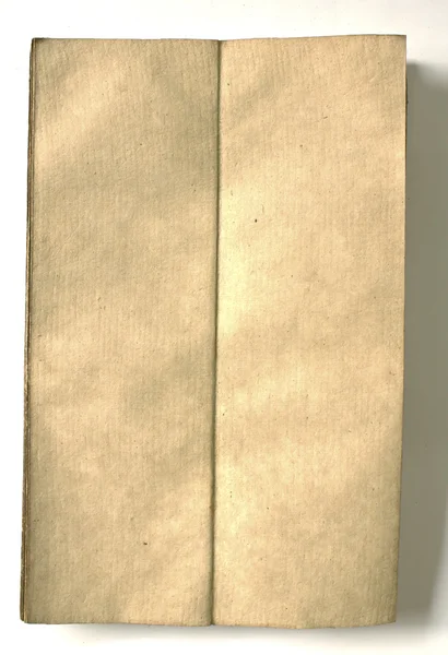 Gammal bok (gammal bok) isolerad på vit bakgrund — Stockfoto