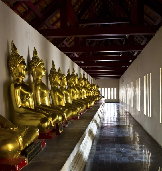 Ausgerichtete Buddha-Statuen — Stockfoto