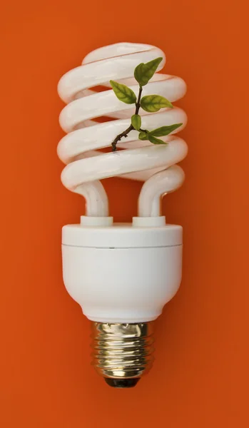 Energy saving lamp on orange background