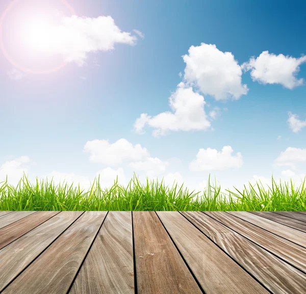 Fresca hierba verde primavera con cielo azul y suelo de madera con sol —  Fotos de Stock