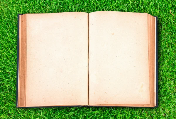 Yeşil çimenlerin üzerinde Vintage Kitap — Stok fotoğraf
