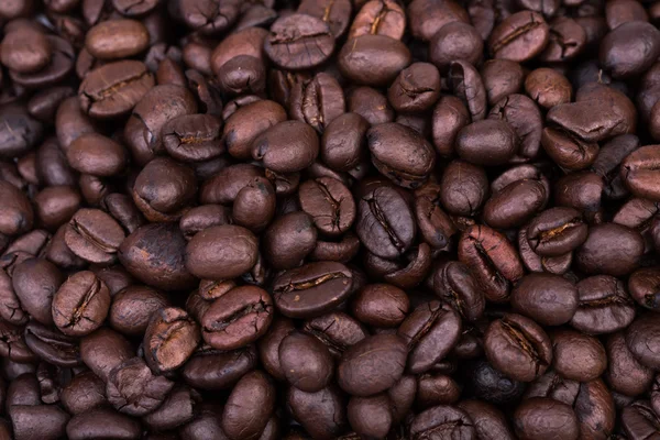 Brown coffee beans background texture, — Stock Photo, Image