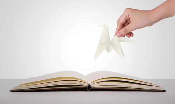 Hand hold Paper cut of Year of the Horse 2014 on old book — Stock Photo, Image