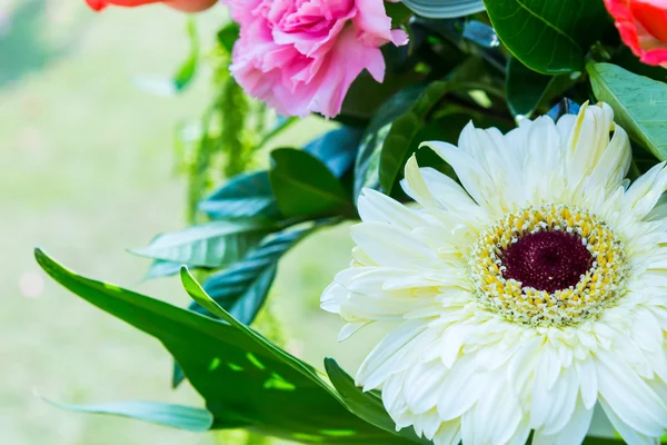 Wedding ceremony in a beautiful garden — Stock Photo, Image