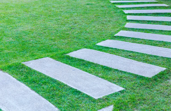 Het pad van de wandeling in het park met groen gras — Stockfoto