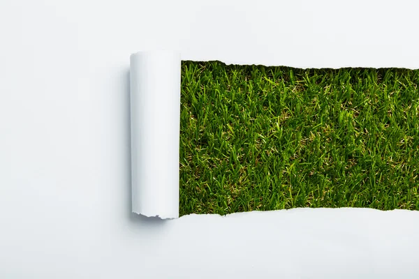 Ripped paper on green grass background — Stock Photo, Image