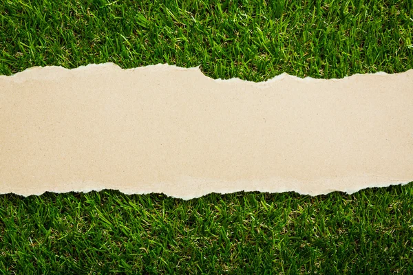 Papel reciclado rasgado sobre fondo de hierba verde —  Fotos de Stock