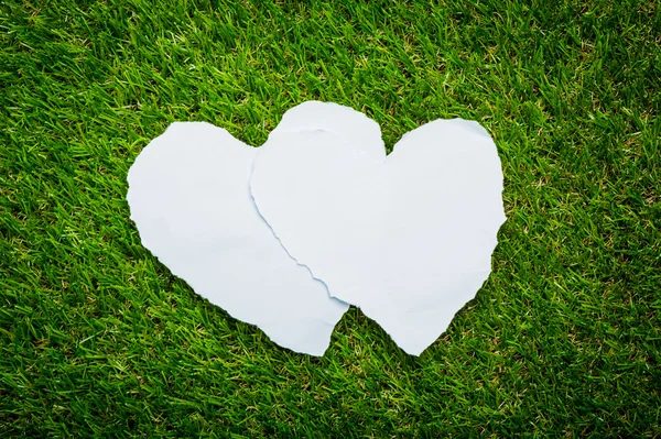 Iki kalp kağıt yeşil çim zemin üzerine — Stok fotoğraf