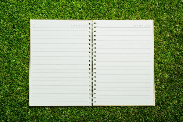 A friss tavaszi zöld fű notebook — Stock Fotó