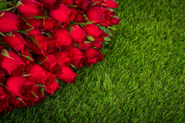 Red rose on green grass background — Stock Photo, Image