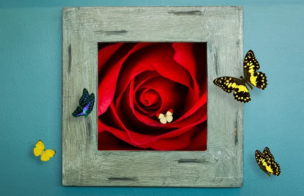 木结构墙体玫瑰与蝴蝶 — 图库照片
