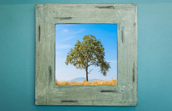 Marco de madera en la pared con árbol y cielo azul — Foto de Stock