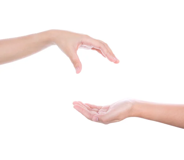 Due mani isolate su sfondo bianco — Foto Stock