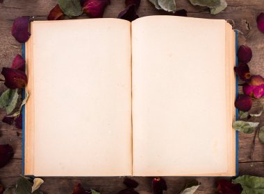 kurutulmuş gül desenli Vintage açık kitap