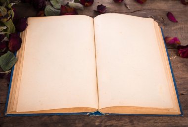 kurutulmuş gül desenli Vintage açık kitap