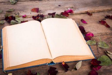 kurutulmuş gül desenli Vintage açık kitap