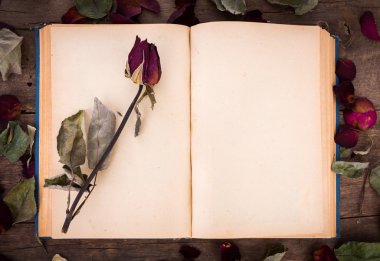 kurutulmuş gül desenli Vintage açık kitap