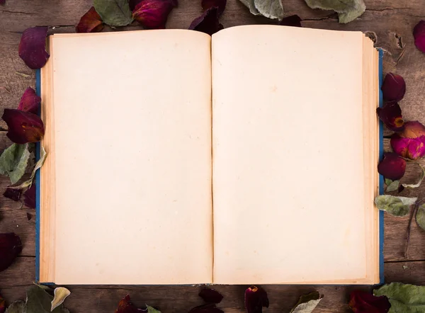 Libro aperto vintage con rosa appassita — Foto Stock