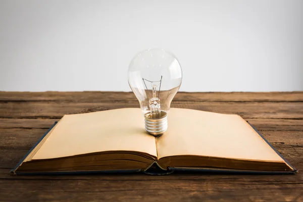 Livre vintage et ampoule sur table en bois — Photo