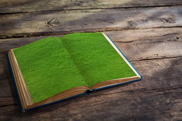 Open grass pages of old book on wood background — Stock Photo, Image