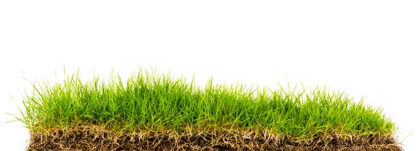 Frisches frühlingsgrünes Gras mit Erde isoliert auf weißem Hintergrund. — Stockfoto