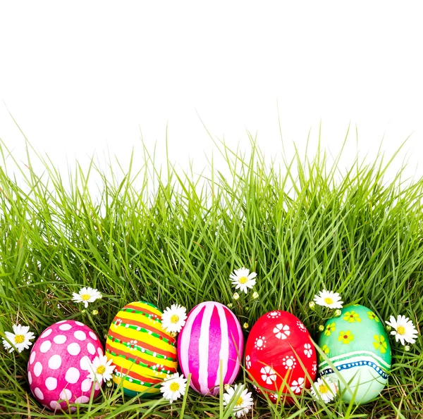 Œufs de Pâques avec fleur sur herbe verte fraîche sur fond blanc — Photo