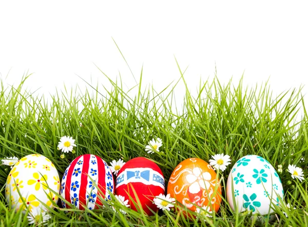 Huevos de Pascua con flor sobre hierba verde fresca sobre fondo blanco — Foto de Stock