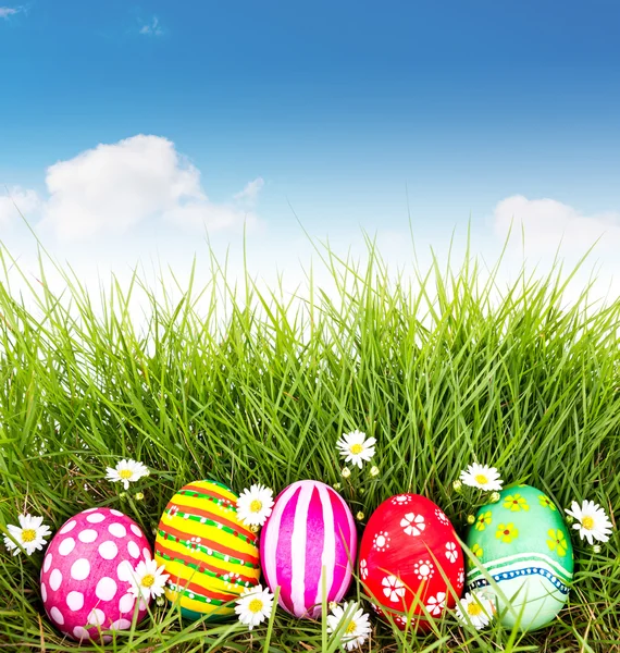 Œufs de Pâques avec fleur sur herbe verte fraîche avec ciel bleu — Photo