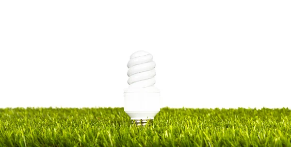 Fluorescerende lamp op gras op witte achtergrond — Stockfoto