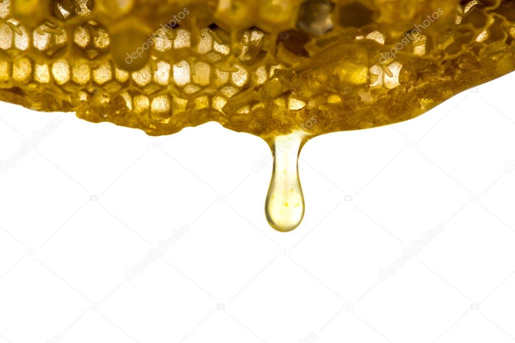 Fresh honey in comb