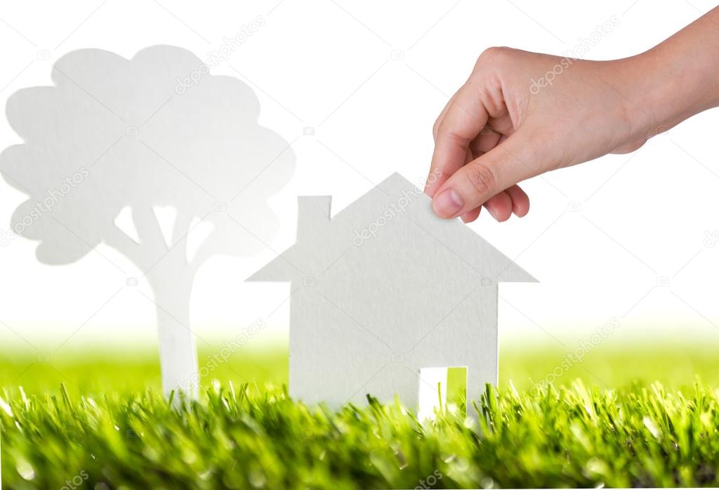 Paper cut of family house and tree on fresh spring green grass