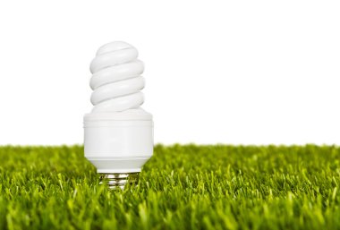 Yeşil çimenlikte enerji tasarrufu lambası