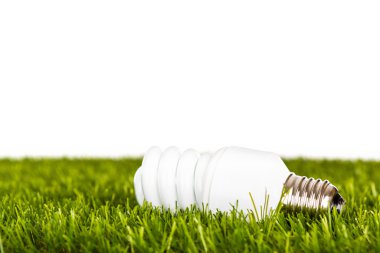 Yeşil çimenlikte enerji tasarrufu lambası