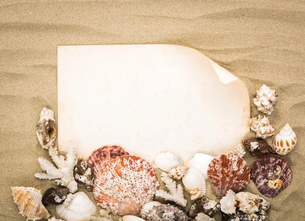 Mořské mušle na pláži písek se starým papírem. letní pozadí — Stock fotografie