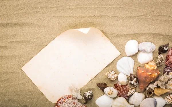 Sea shells on beach sand with old paper. Summer background — Stock Photo, Image