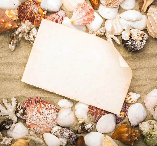 Sea shells on beach sand with old paper. Summer background — Stock Photo, Image