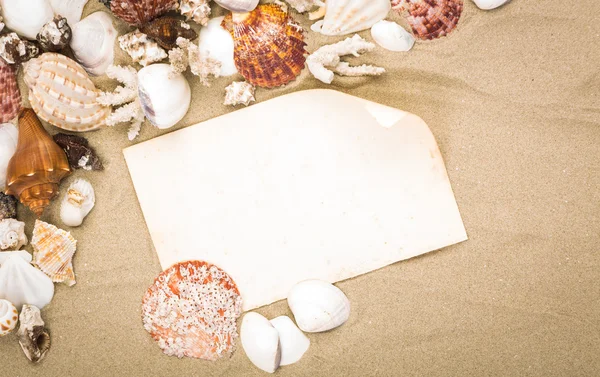 Sea shells on beach sand with old paper. Summer background — Stock Photo, Image
