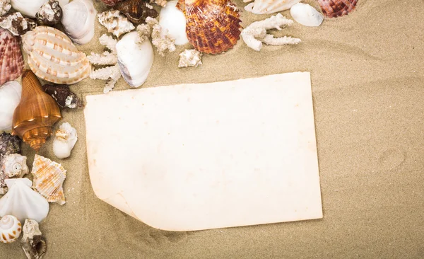 Sea shells on beach sand with old paper. Summer background — Stock Photo, Image