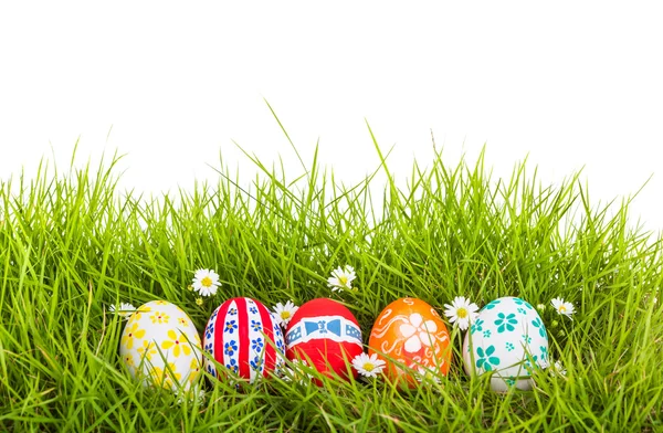Huevos de Pascua con flor sobre hierba verde fresca sobre fondo blanco — Foto de Stock